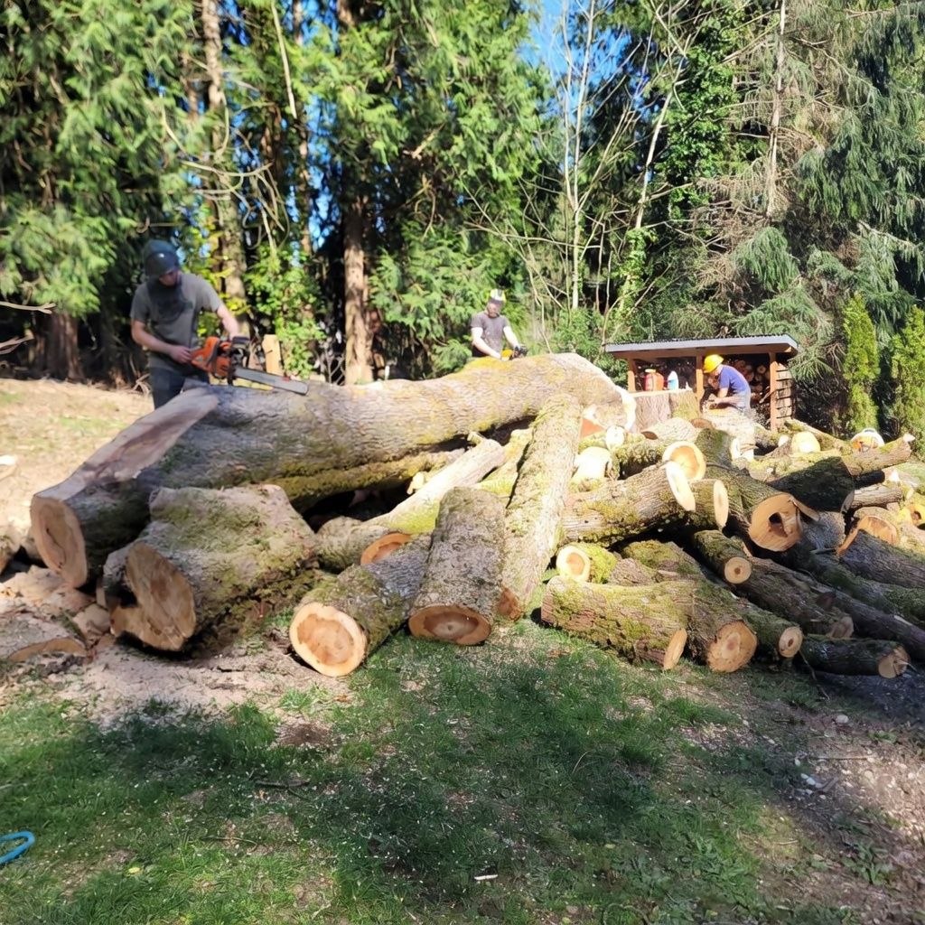 Emergency storm damage service