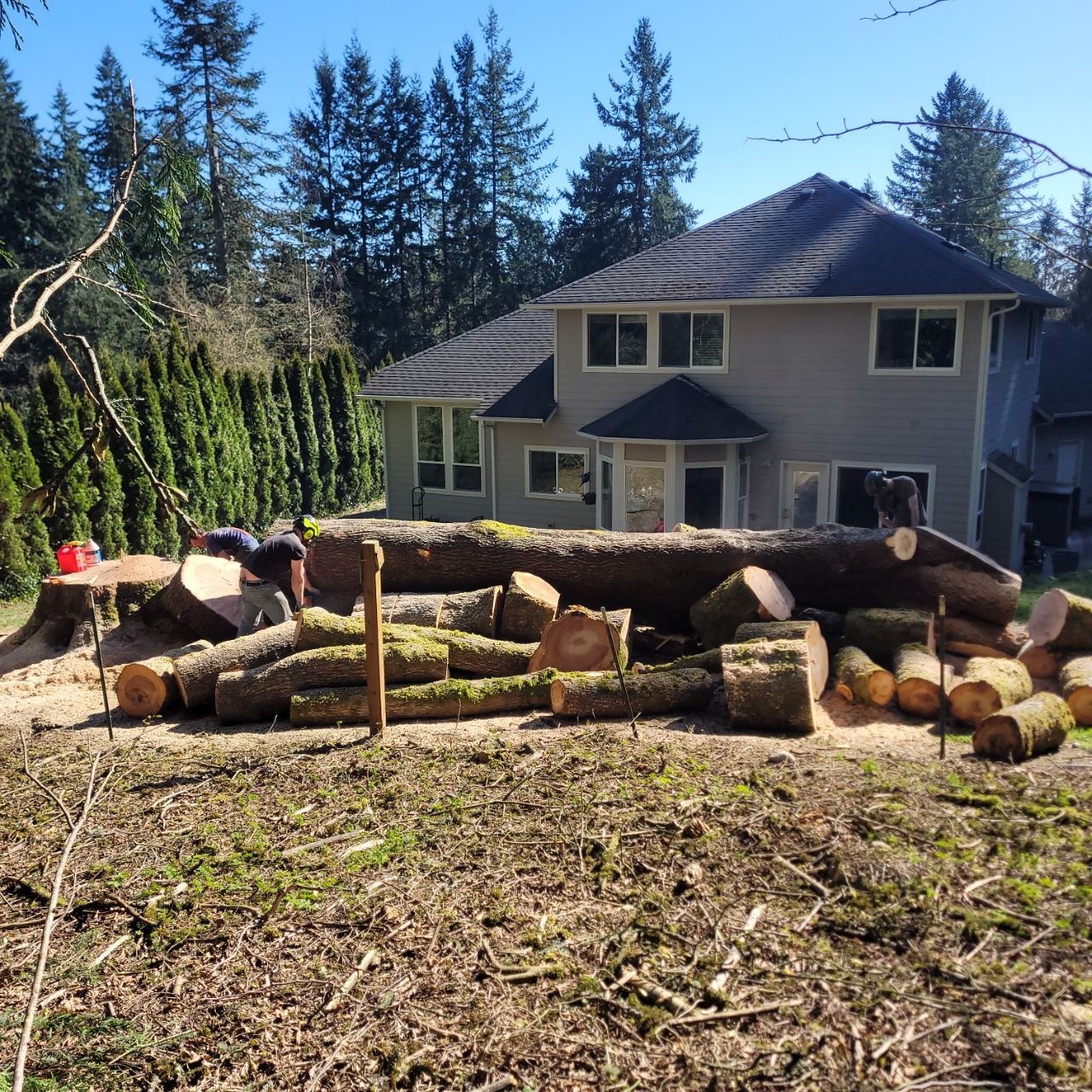 Land clearing service